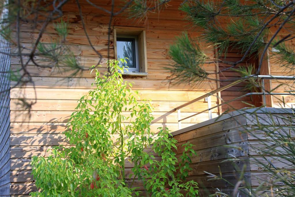 Residence Cala Sultana Porto-Vecchio  Exteriör bild